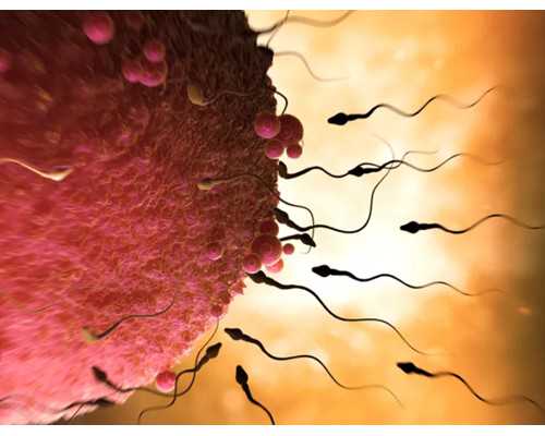 国内靠谱代生机构,二代试管取精需要注意什么？如果不了解请看看这篇文章！