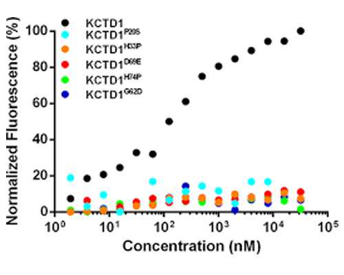国内供卵的医院有几家,御龙在天手游名将套装获取属性选择攻略（御龙在天套装属性刷新）