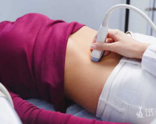 国内供卵如何排队,胚胎的等级标准是什么？