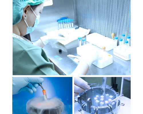 全国供卵医院排名榜,需要手术的卵巢囊肿是哪些？什么样的卵巢囊肿需要手术治疗？