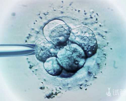 国内供卵生子的费用,大龄男备孕方法有哪些（济南中医备孕调理方案）