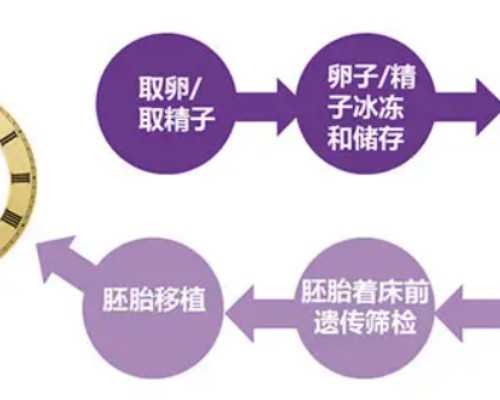 中国供卵市场情况怎么样,50岁月经量少怎么回事（月经量少怎么办）