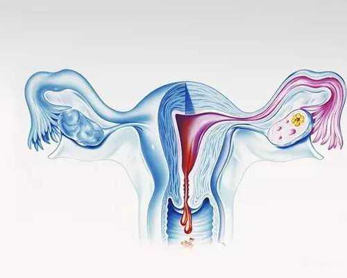 国内地下供卵哪家好,试管婴儿取卵后应不应该动呢？做试管婴儿取卵后注意什么？ ...