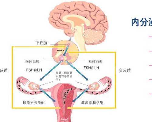 全国供卵私立医院有几家,钦州灵山县试管婴儿需要什么条件？钦州市妇幼保健做试管？