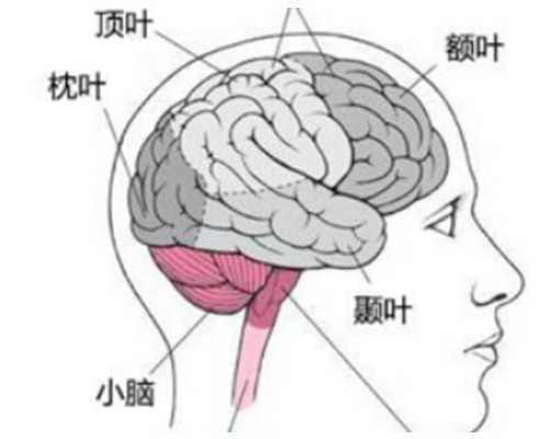 国内有哪些私立供卵机构好,病毒性疱疹对试管有什么影响？附冻卵条件介绍！