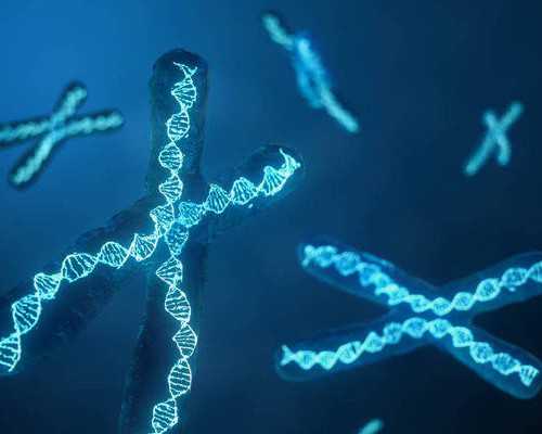 国内私立的供卵机构有哪些,试管婴儿双胞胎能控制性别吗？做试管婴儿男双胞胎需多少钱？ ...