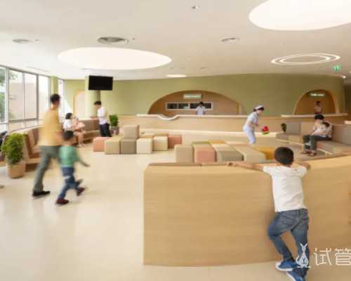 国内供卵代怀代生,白蛋白偏低多久能治好,白蛋白偏低的食疗方法