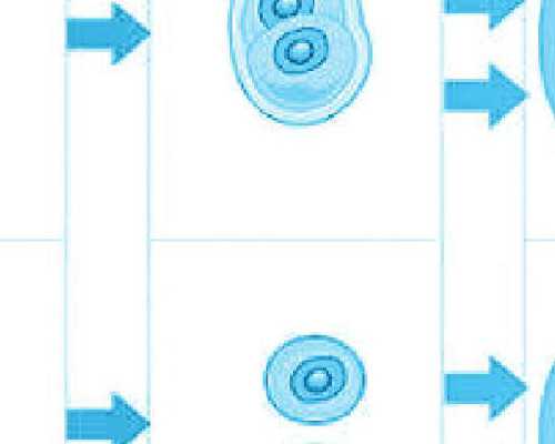 国内供精供卵生子,夫妻*二胎备孕前五个事项要注意 心理、身体都需要调理