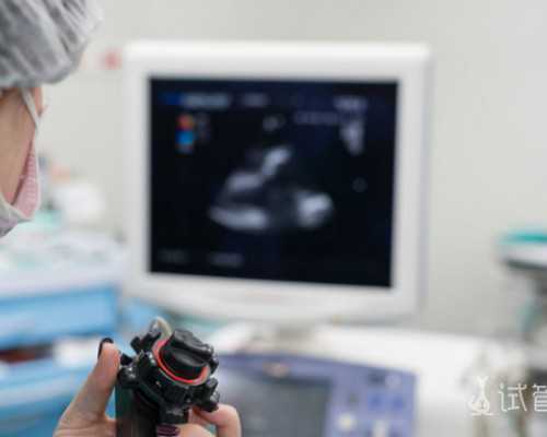 国内借卵代孕公司咨询服务,泰国试管，让混血娃娃的梦想变为现实