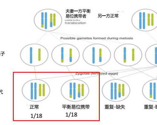 国内正规供卵机构需要多少钱,不排卵不孕原因有哪些(造成不排卵的原因有哪些）