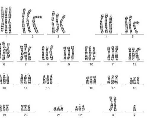 国内三甲医院提供卵子,促排期间饭前吃999感冒药担心影响卵泡质量？能不能用看这