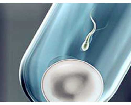 国内供卵的机构在哪,做试管龙凤胎婴儿需多少钱(人工试管价格表)