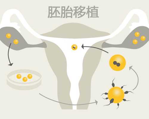 国内靠谱代孕公司,取卵后不能马上移植的方案有哪些?