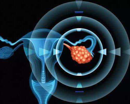 国内私人机构做供卵,为了提升试管成功率，囊胚移植几个最佳？