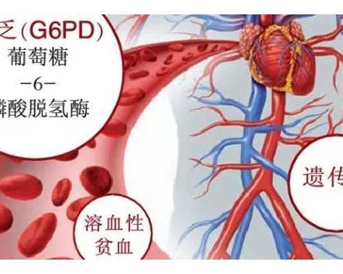 国内最好的私人供卵机构,能做试管婴儿吗？西宁试管婴儿医院排名哪家好