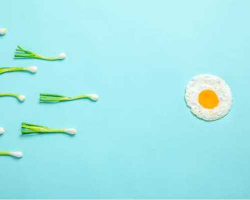 国内大龄供卵试管医院,试管婴儿可以做多少次，重复尝试会增加手术的风险