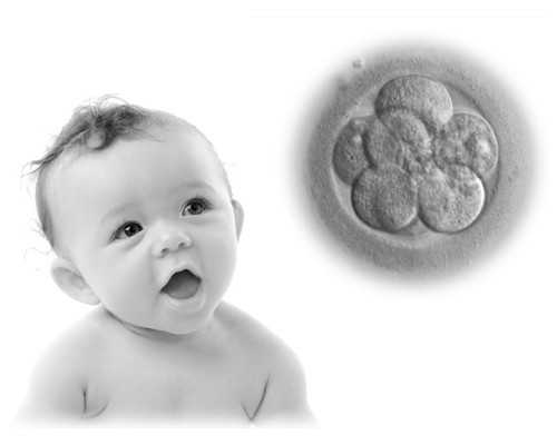 国内代怀中介机构,泰国试管备孕阶段做好检查就可以了 并非如此