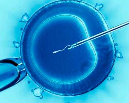 国内最好的供卵机构是哪家,前期做试管婴儿检查项目明细表