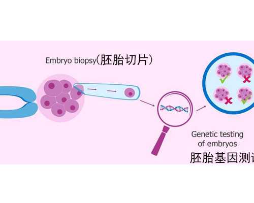 国内助孕机构有供卵哪,中国试管婴儿技术怎么样？为什么都选择去泰国