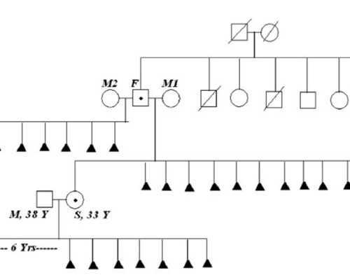 国内试管供卵医院排名,什么是差值?（什么是差值法  (数学中)）