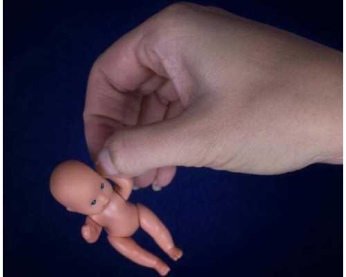 国内供卵代要多久,2025马来西亚试管婴儿机构哪里最好(马来西亚试管移植)