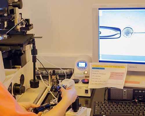 国内供卵的详细流程,试管移植后失眠能否吃谷维素？使用谷维素后会胃部不适