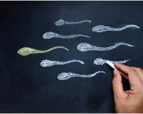 国内试管代怀医院,云南省妇幼保健院做第二代试管婴儿开始移植胚胎 太紧张了