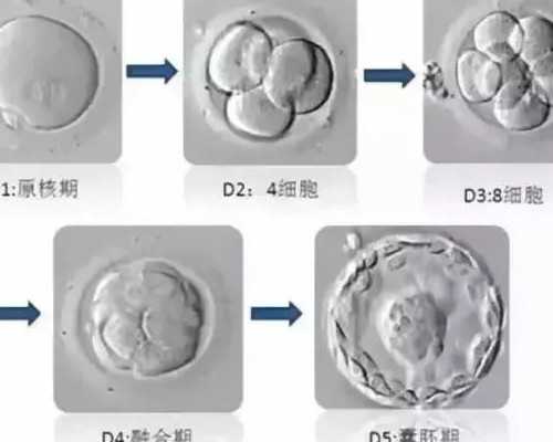 国内供卵试管代怀的机构,打促排针后会变胖吗？