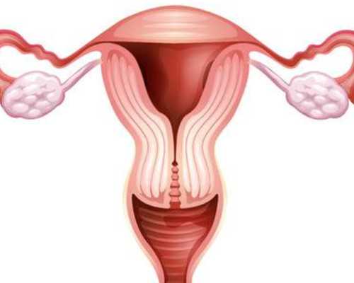 国内哪些公立医院有供卵室,揭秘试管婴儿男性检查指南：天津医院选择要点