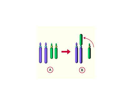 国内供卵去哪里,兰大一院试管婴儿医生名单!哪个主任好比比才知道