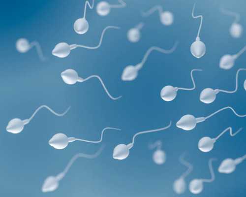 国内代孕咨询公司服务,琼海做一次试管婴儿成功率多少？大多数人选择赴泰生子